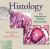 Histology : An Interactive Virtual Microscope