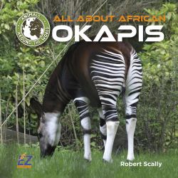 All about African Okapis