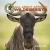 All about African Wildebeests