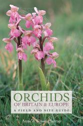 Orchids of Britain and Ireland : A Field and Site Guide