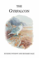 Gyrfalcon