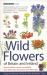 Wild Flowers of Britain and Ireland : 2nd Edition