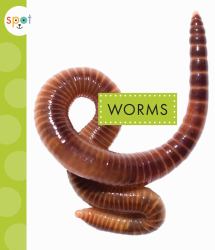 Worms