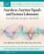 Anywhere-Anytime Signals and Systems Laboratory : From MATLAB to Smartphones