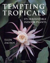 Tempting Tropicals : 175 Irresistible Indoor Plants