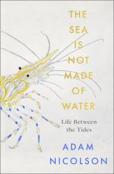 The Sea Is Not Made of Water : Life Between the Tides