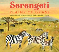 Serengeti : Plains of Grass