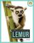 Lemur