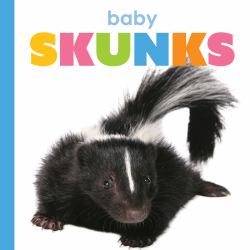 Baby Skunks