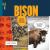 Bison