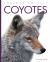 Coyotes