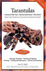 Tarantulas : Common Pink-Toes, Mexican Red-Knees, Plus More!