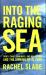 Into the Raging Sea : Thirty-Three Mariners, One Megastorm and the Sinking of el Faro