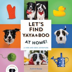 Let's Find Yaya and Boo at Home! : A Hide-And-Seek Adventure