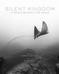 Silent Kingdom : A World Beneath the Waves