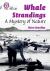 Whale Strandings: a Mystery of Nature : Band 10+/White Plus