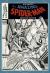 Gil Kane's the Amazing Spider-Man Artisan Edition