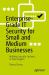 Enterprise-Grade IT Security for Small and Medium Businesses : Building Security Systems, in Plain-English