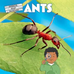 Ants