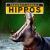 Hippos