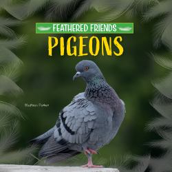 Pigeons