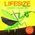 Lifesize Creepy-Crawlies