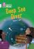 Deep Sea Diver : Band 17/Diamond