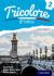 Tricolore : Level 2 Student Book