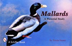 Mallards : A Pictorial Study