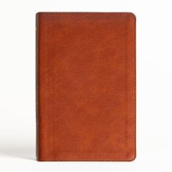 NASB Large Print Personal Size Reference Bible, Burnt Sienna LeatherTouch