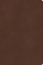 CSB Rainbow Study Bible, Brown LeatherTouch