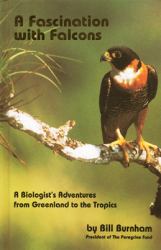 A Fascination with Falcons : A Biologist's Adventures from Greenland to the Tropics