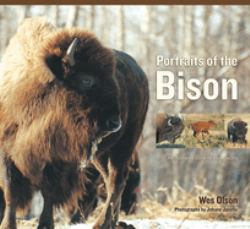 Portraits of the Bison : An Illustrated Guide to Bison Society