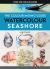 The Colour Mixing Guide: Watercolour Seashore