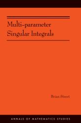 Multi-Parameter Singular Integrals, Volume I