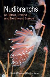 Nudibranchs of Britain, Ireland and Northwest Europe : Second Edition