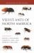 Velvet Ants of North America