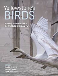 Yellowstone's Birds : Diversity and Abundance in the World's First National Park