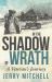 In the Shadow of Wrath : A Veteran's Journey