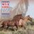 2019 Wild Horse Freedom Federation Calendar