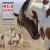 2018 Wild Horse Freedom Federation Calendar : The Sand Wash Basin Herd