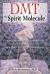 DMT: the Spirit Molecule : A Doctor's Revolutionary Research into the Biology of near-Death and Mystical Experiences