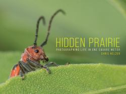 Hidden Prairie : Photographing Life in One Square Meter