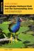 Exploring Everglades National Park and the Surrounding Area : A Guide to Hiking, Biking, Paddling, and Viewing Wildlife in the Region