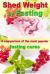 Shed Weight by Fasting - a Comparison of the Most Popular Fasting Cures : From Therapeutic Fasting after Buchinger up to Base Fasting