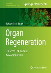 Organ Regeneration : 3D Stem Cell Culture and Manipulation