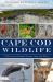 Cape Cod Wildlife : A History of Untamed Forests, Seas and Shores