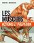 Les muscles : actions et palpation