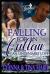 Falling for an Outlaw : An Undeniable Love