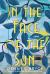 In the Face of the Sun : A Fascinating Novel of Historical Fiction Perfect for Book Clubs